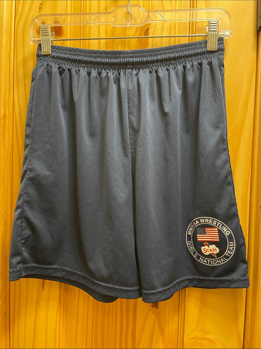Women's Navy Athletic Shorts (size small)
